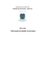 Tiểu Luận - Nghiệp vụ hải quan - Đề Tài :  Tổng Quan Về Nghiệp Vụ Hải Quan