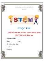 GIÁO ÁN STEM / STEAM KHỐI 2 MÔN TNXH TÍCH HỢP MÝ THUẬT, TOÁN BÀI XÚC XẮC CÁC MÙA TRONG NĂM