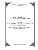 BÁO CÁO ĐỀ XUẤT CẤP GIẤP PHÉP MÔI TRƯỜNG của dự án “TRANG TRẠI CHĂN NUÔI HEO HẬU BỊ VIỆT HOÀNG TT 1”