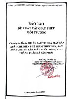 Báo cáo đề xuất cấp Giấy phép môi trường của Dự án: “Dự án đầu tư Nhà máy sản xuất chế biến phế phẩm thuỷ sản, sản xuất Chitin, sản xuất nước mắm, kho thành phẩm và sân phơi”