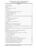 BÁO CÁO ĐỀ XUẤT CẤP GIẤY PHÉP MÔI TRƯỜNG Dự án “Công ty TNHH Geo Nation Việt Nam”