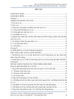 Báo cáo đề xuất cấp giấy phép môi trường của dự án: “Công ty TNHH công nghiệp thực phẩm Liwayway Hà Nội – Giai đoạn I”