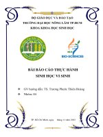 Báo cáo thực hành sinh học vi sinh nhóm 4 (NLU)