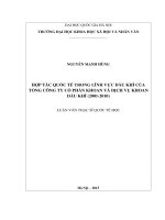 Luận Văn Quan Hệ Quốc Tế, Hợp Tác Quốc Tế, Dầu Khí.pdf