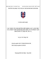 Luận văn thạc sỹ các nhân tố ảnh hưởng đến động lực làm việc của nhân viên kinh doanh công ty cổ phần tập đoàn đầu tư địa ốc no va
