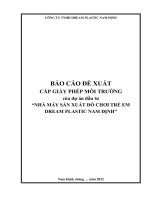 BÁO CÁO ĐỀ XUẤT CẤP GIẤY PHÉP MÔI TRƯỜNG của dự án đầu tư  “NHÀ MÁY SẢN XUẤT ĐỒ CHƠI TRẺ EM DREAM PLASTIC NAM ĐỊNH”
