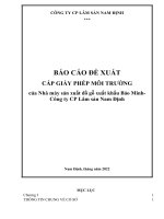 BÁO CÁO ĐỀ XUẤT CẤP GIẤY PHÉP MÔI TRƯỜNG của Nhà máy sản xuất đồ gỗ xuất khẩu Bảo MinhCông ty CP Lâm sản Nam Định