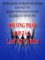 Tiểu Luận - Phương Pháp Giảng Dạy - Đề Tài  - Phương Pháp Hợp Tác- Làm Việc Nhóm