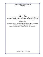 BÁO CÁO ĐÁNH GIÁ TÁC ĐỘNG MÔI TRƯỜNG CỦA DỰ ÁN TUYẾN ĐƯỜNG LIÊN HUYỆN TỪ THỊ TRẤN PHÙ MỸ ĐI XÃ CÁT MINH, HUYỆN PHÙ CÁT