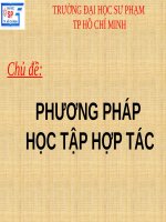 Tiểu Luận -  Phương Pháp Giảng Dạy - Đề Tài : Phương Pháp Học Tập Hợp Tác