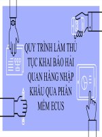 Tiểu luận - nghiệp vụ hải quan -  đề tài : quy trình làm thủ tục khai báo hải quan hàng nhập khẩu qua phần mềm ecus