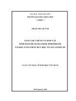 Luận văn thạc sĩ sàng lọc chủng vi sinh vật sinh enzyme manganese peroxidase có khả năng phân hủy độc tố aflatoxin b1