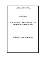Luận văn thạc sĩ phân tích hàm lượng kim loại nặng trong cây diệp minh châu