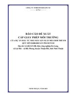 BÁO CÁO ĐỀ XUẤT CẤP GIẤY PHÉP MÔI TRƯỜNG CỦA DỰ ÁN ĐẦU TƯ NHÀ MÁY SẢN XUẤT ĐỒ CHƠI TRẺ EM QUY MÔ 10.000.000 SẢN PHẨMNĂM