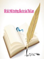 Tiểu Luận - Đầu Tư Quốc Tế - Đề Tài : Môi Trường Đầu Tư Của Thái Lan