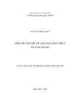 Luận văn thạc sỹ một số vấn đề về căn nguyên thủy và ứng dụng