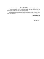 Luận văn thạc sỹ sự vận động trong phong cách truyện ngắn nguyễn ngọc tư