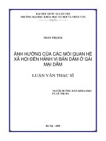 Luận Văn Quan Hệ Xã Hội, Tâm Lý Học, Gái Mại Dâm.pdf