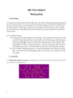 công  nghệ sản xuất dược phẩm : Tetracycline