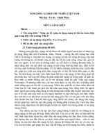 Nâng cao kỹ năng sử dụng mạng xã hội an toàn, hiệu quả trong đội viên trường thcs