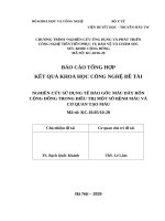 tổng hợp NGHIÊN CỨU SỬ DỤNG TẾ BÀO GỐC MÁU DÂY RỐN CỘNG ĐỒNG TRONG ĐIỀU TRỊ MỘT SỐ BỆNH MÁU VÀ CƠ QUAN TẠO MÁU