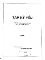 Nghiên cứu những yếu tố tâm lý và diễn biến của nó ở người bí thư và chủ tịch ủy ban nhân dân cấp huyện (quận) trong quá trình ra quyết định quản lý tập kỷ yếu đề tài khoa học cấp bộ