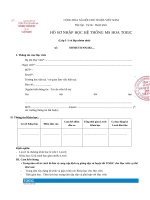 Hồ sơ nhập học to (nhóm nhỏ)