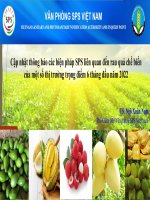 Power point trinh bày 7-7-2022 VP SPS Việt Nam_final.pptx