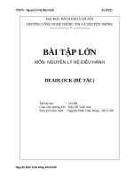 BÁO CÁO BÀI TẬP LỚN HỆ ĐIỀU HÀNH ĐỀ TÀI DEADLOCK(KHÓA CHẾT)  Đại Học Bách Khoa Hà Nội
