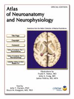 6 atlas of neuroanatomy and neurophysiology frank h netter