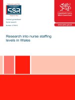 Nurse staffing levels project report publ version