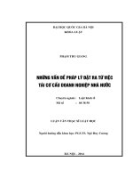 Luận văn Thạc sĩ Luật học: Những vấn đề pháp lý đặt ra từ việc tái cơ cấu doanh nghiệp nhà nước