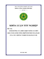 Ảnh hưởng của điều kiện nuôi cấy đến khả năng sinh tổng hợp enzyme xylanase của các chủng vi khuẩn bacillus sp