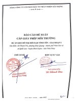 Báo cáo đề xuất cấp Giấy phép môi trường: Khu đô thị mới Nam Vĩnh Yên  Giai đoạn 1