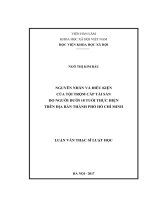 Luận văn Thạc sĩ Luật học: Nguyên nhân và điều kiện của tội trộm cắp tài sản do người dưới 18 tuổi thực hiện trên địa bàn Thành phố Hồ Chí Minh