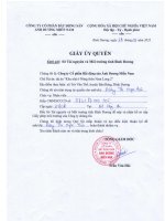 Báo cáo đề xuất cấp giấy phép môi trường Khu nhà ở nông thôn Nam Long 2, diện tích 289.518,5m², dân số 6.464 người.