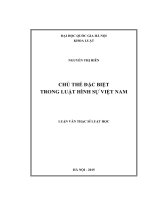 Luận văn Thạc sĩ Luật học: Chủ thể đặc biệt trong Luật hình sự Việt Nam