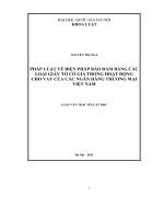 Luận văn Thạc sĩ Luật học: Pháp luật về biện pháp bảo đảm bằng các loại giấy tờ có giá trong hoạt động cho vay của các Ngân hàng thương mại Việt Nam