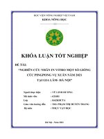 Nghiên cứu nhân in vitro một số giống cúc pingpong vụ xuân năm 2021 tại gia lâm   hà nội
