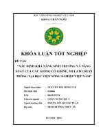 Xác định khả năng sinh trưởng và năng suất của các giống cỏ ghine, mulato, ruzi trồng tại học viện nông nghiệp việt nam