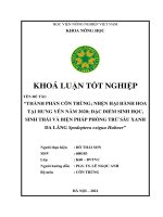 Thành phần côn trùng, nhện hại hành hoa tại hưng yên năm 2020, đặc điểm sinh học sinh thái và biện pháp phòng trừ sâu xanh da láng spodoptera exigua hubner (khóa luận tốt nghiệp)