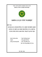 Khóa luận tốt nghiệp đánh giá ảnh hưởng của một số điều kiện nuôi cấy đến sự sinh trưởng của chủng nấm linh chi ga268 thu thập tại hà nội