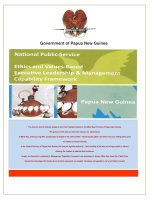 Public service ethics and values