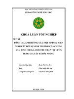 Khóa luận tốt nghiệp đánh giá ảnh hưởng của một số điều kiện nuôi cấy đến sự sinh trưởng của chủng nấm linh chi ga cb20 thu thập tại vườn quốc gia cát bà hải phòng