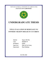 Evaluation of resistance to powdery mildew disease in cucurbits