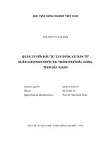 (Luận văn) quản lý vốn đầu tư xây dựng cơ bản từ ngân sách nhà nước tại thành phố bắc giang, tỉnh bắc giang