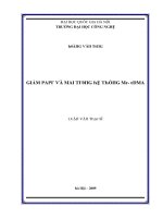 Luận văn giảm papr và mai trong hệ thống mc cdma