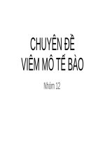 Bệnh án viêm mô tế bào
