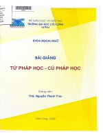Giáo trình tư pháp học cú pháp học