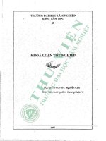 Tìm hiểu quy luật kết cấu lâm phần rừng thông mã vĩ 14 tuổi và keo lá tràm 6 tuổi trồng tại núi luốt, trường đại học lâm nghiệp